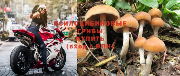 спайс Алексин