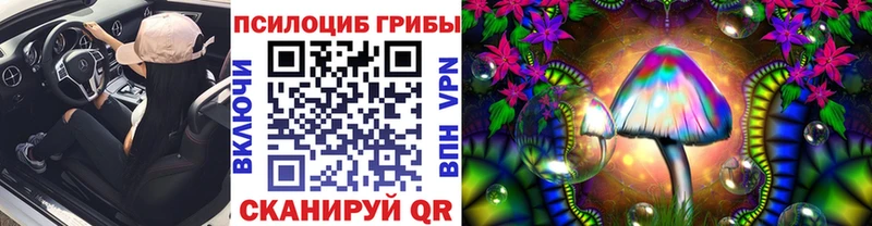 blacksprut зеркало купить сайты Медынь Галлюциногенные грибы Psilocybine cubensis